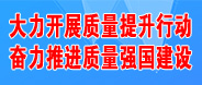 大力開展質量提升行動奮力推進質量強國建設